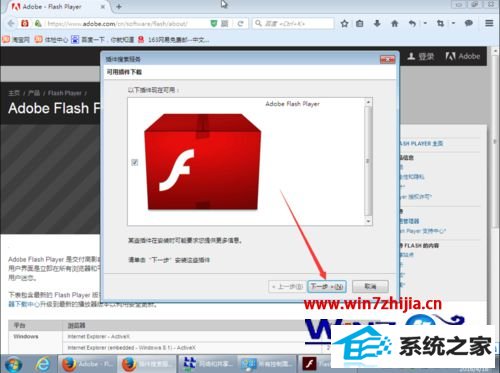 win10콢ϵͳFlash playerķ